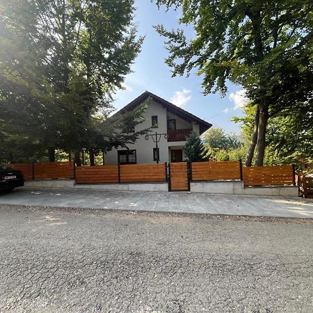 Casa De Vacanta Mogosa Baia-Sprie Εξωτερικό φωτογραφία