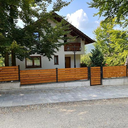 Casa De Vacanta Mogosa Baia-Sprie Εξωτερικό φωτογραφία
