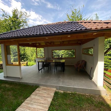 Casa De Vacanta Mogosa Baia-Sprie Εξωτερικό φωτογραφία