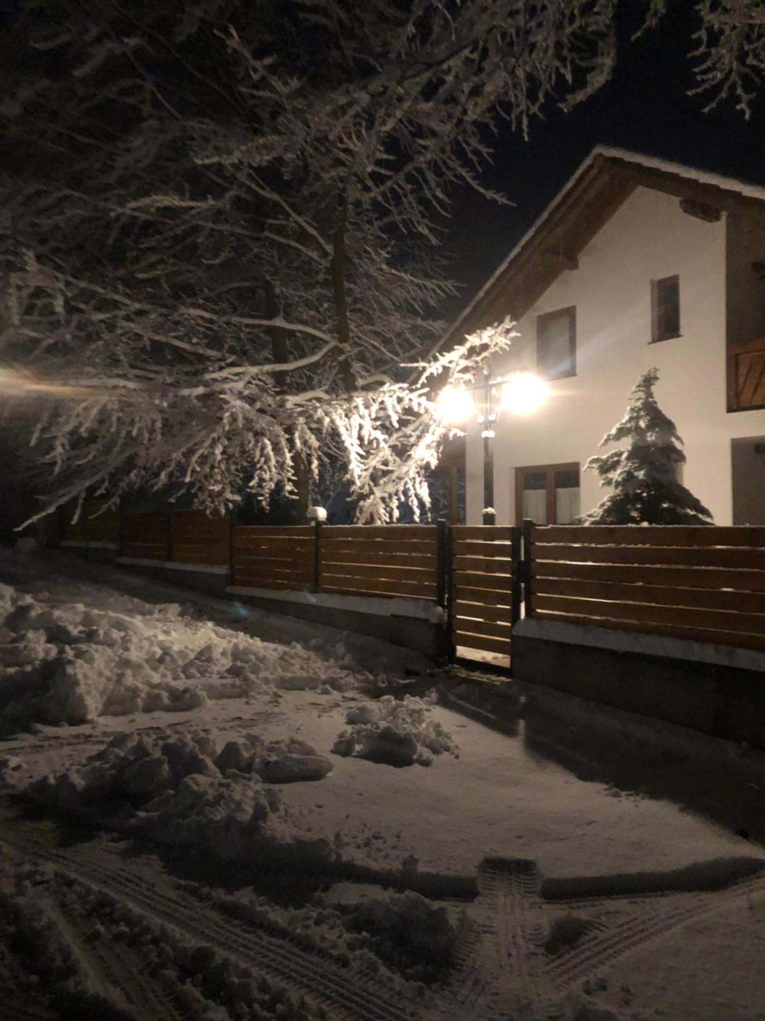 Casa De Vacanta Mogosa Baia-Sprie Εξωτερικό φωτογραφία