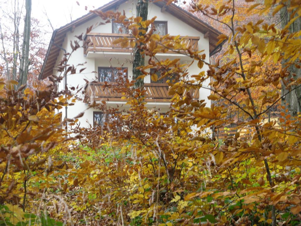 Casa De Vacanta Mogosa Baia-Sprie Εξωτερικό φωτογραφία