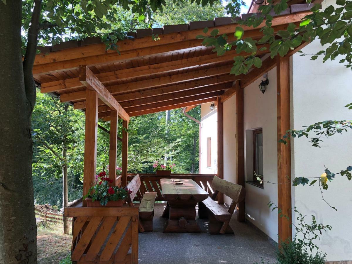 Casa De Vacanta Mogosa Baia-Sprie Εξωτερικό φωτογραφία